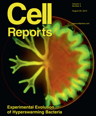 August 2013 cover
