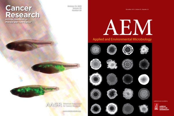 Covers from the October 15 issue of Cancer Research (collaboration with Richard White's lab) and the December 2015 about issue of Applied and Environmental Microbiology (collaboration with Lars Dietrich's lab and Soren Sorens's lab).